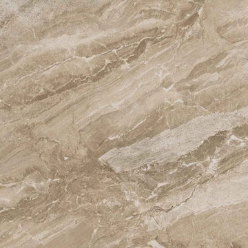 Taupe 12x24