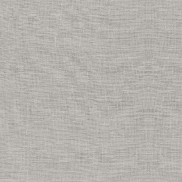 Fog 12x24 Rectified Matte