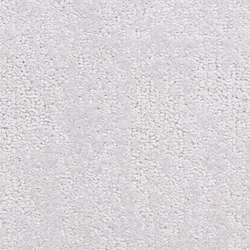 Sea Gull