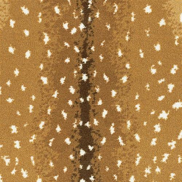 Antelope