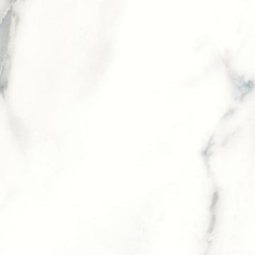 Calacatta 12x12 Pressed Matte