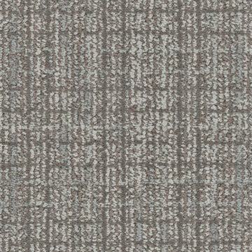 Chinchilla