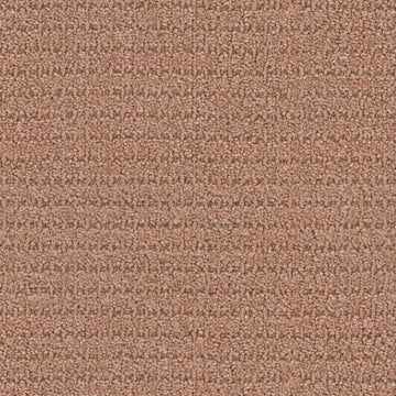 Terra Cotta