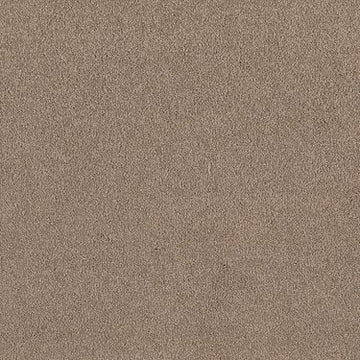 Balanced Beige