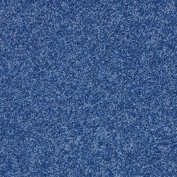 Cobalt Vibe