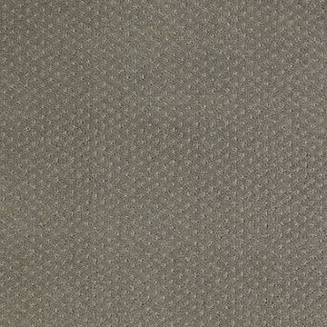Pewter