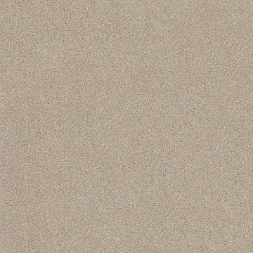 Rustic Taupe