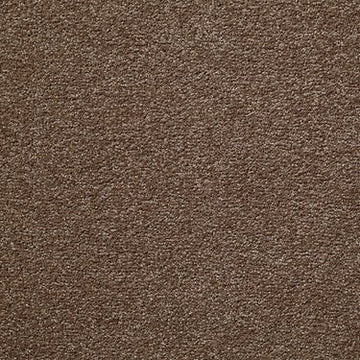 Brushed Suede