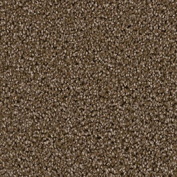 Black Walnut
