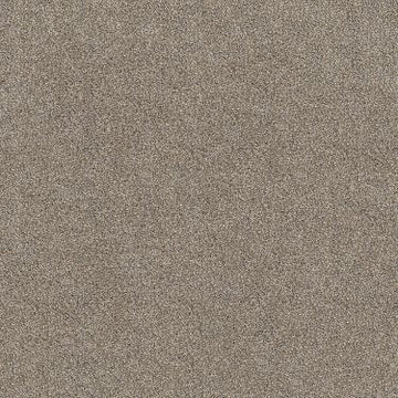 Fox Fur