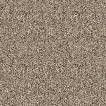 Sand Swept