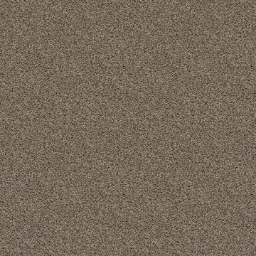 Pale Desert