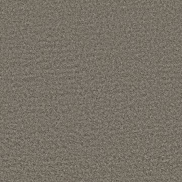 Cement