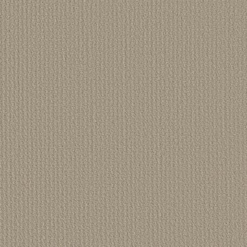 Studio Taupe