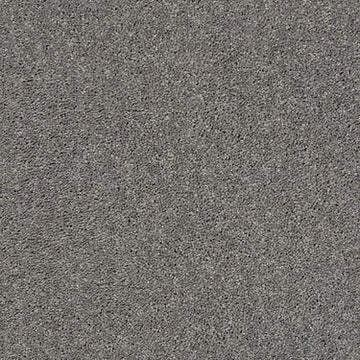 Steel
