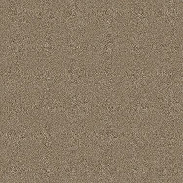 Dried Clay