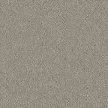 Sahara