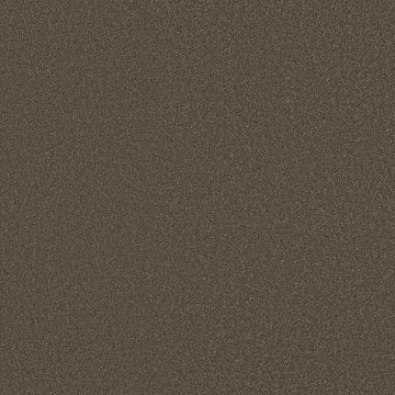 Cashew