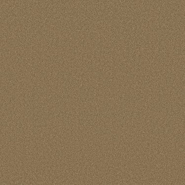 Mojave
