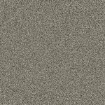 Pewter