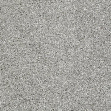 Plaster