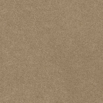 Almond Tone