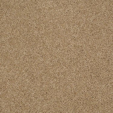 Monte Carlo