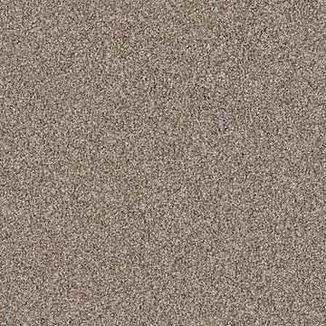 Barn Wood
