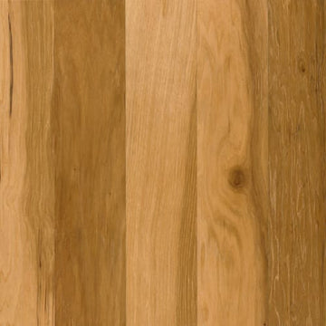 Butternut