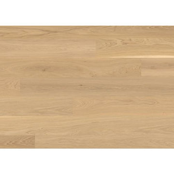 Oak Nature/Andante