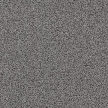 Iron