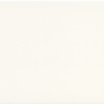 Astonished White Glossy 3x6