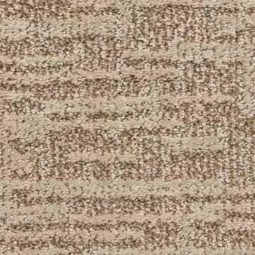 Sandbark