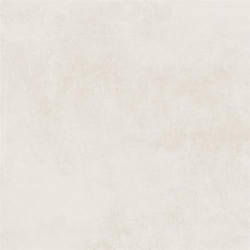 Elector - 12x24 Lappato