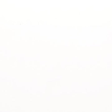 Pure White Matte 12" X 24"