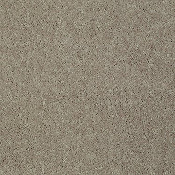 Mocha Frost