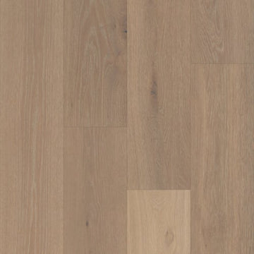 Ibelin Oak