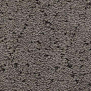 Dried Peat