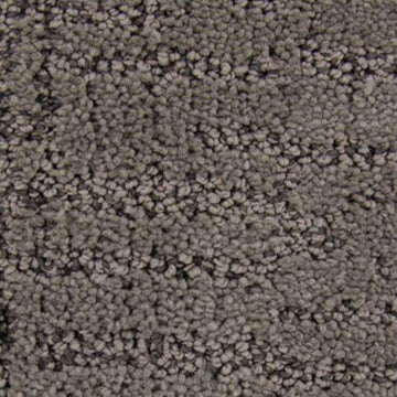 Dried Peat