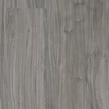 Graphite Accacia