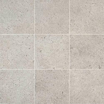 Light Gray 12x24