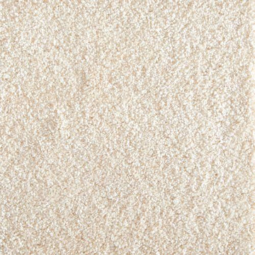 Eggshell