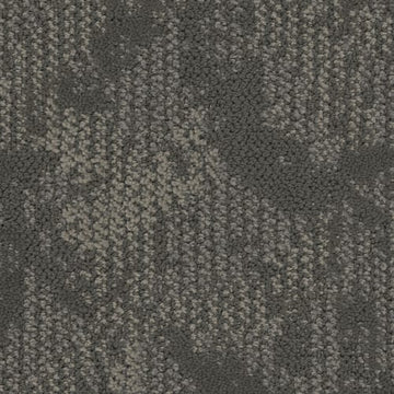 Foothills