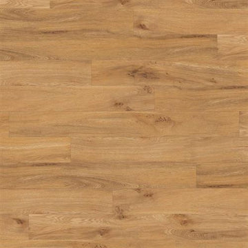 Warm Oak