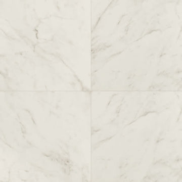 Carrara Bianco - 24x24 Polished