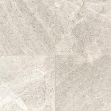 Arctic Gray - 12x12 Polished