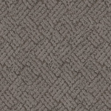 Seal Grey