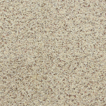 Oatmeal Raisin