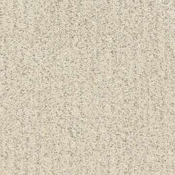 Sea Wall