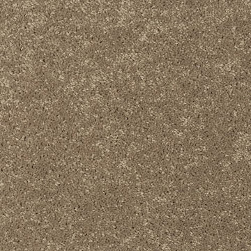 Desert Star